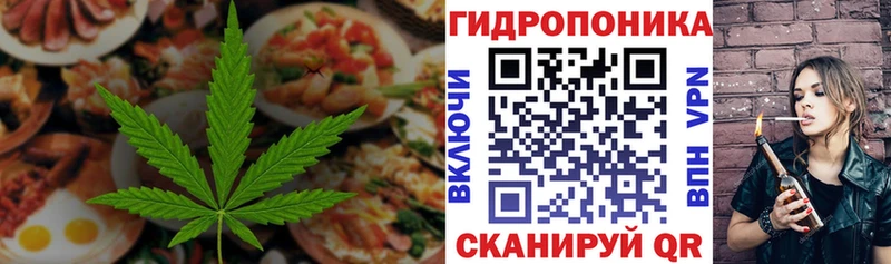 Купить где  Сковородино  Canna-Cookies конопля 