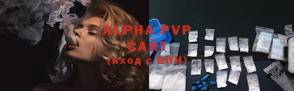 молекула духа Коряжма