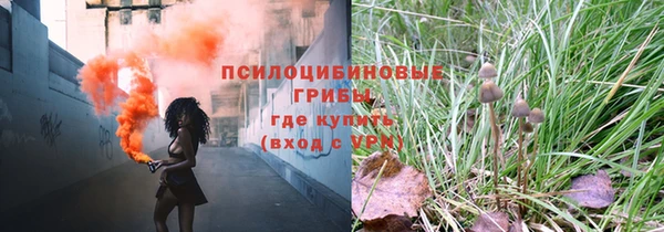 spice Костерёво