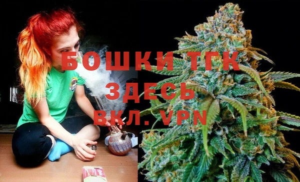 спайс Корсаков