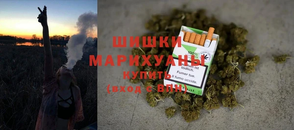 спайс Корсаков